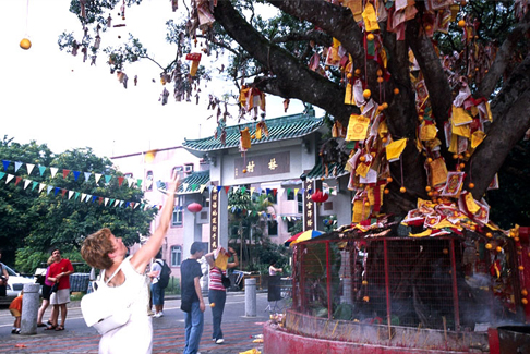 Lam Tsuen Wishing Trees and Tin Hau Temple